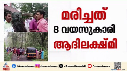 ‌'പാമ്പിനെ കണ്ടപ്പോൾ വെട്ടിച്ചതെന്നാ പറഞ്ഞെ, ഓട്ടോറിക്ഷയല്ലേ കൈയിൽ നിന്ന് പാളിപ്പോയി കാണും'