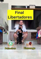 Lembra dele? Milu, o gato vidente, crava o campeão da Libertadores