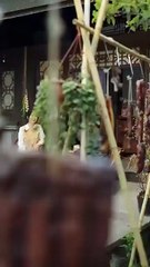 Fiery butcher girl mocked as unmarriageable then abstinent doctor proposed Now spoiled rotten - CN