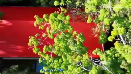 Cap. 99 - El Desafío Siglo XXI | HD 2025