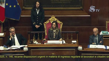 Daisy Pirovano - Intervento in Senato (26.11.25)