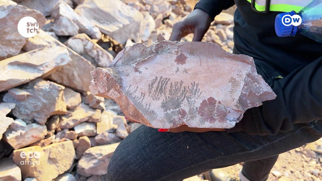 EcoAfrica - How DRC's cobalt mining boom is resulting in green jobs for women