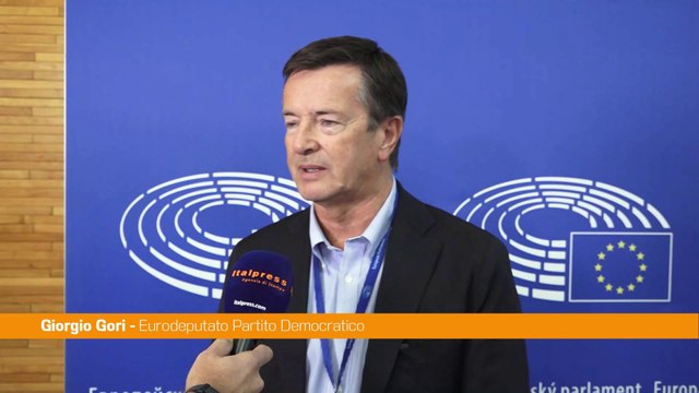 Difesa, Gori Favorevoli a convergenza tra investimenti Stati membri Ue