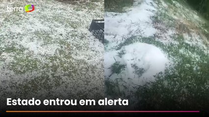 Vídeo mostra chão coberto por granizo após tempestade atingir zona rural do Paraná