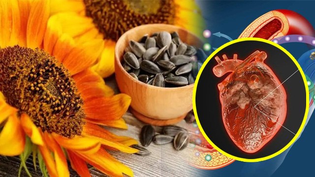 Surajmukhi Beej Khane Ke Fayde,किस बीमारी में सूरजमुखी के बीज खाने चाहिए | Boldsky