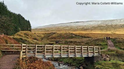 Picture This: First signs of winter 2025