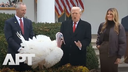 WATCH: Trump’s Reaction Says It All as He Jokes Gobble ‘Looks Violent’ During Turkey Pardon | APT