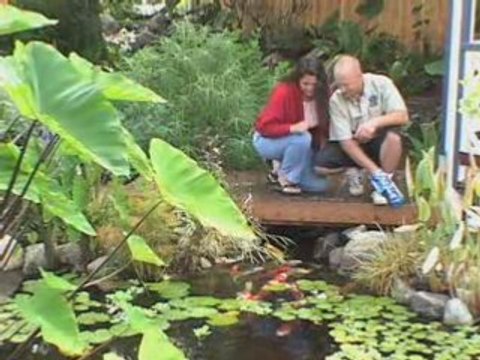 Aquascape Water Gardens and Ecosystem Ponds