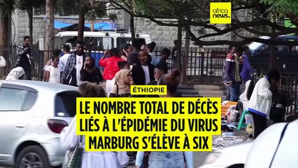 Éthiopie : six décès liés à l'épidémie du virus Marburg