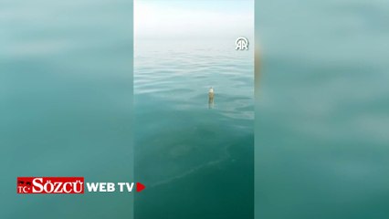 Denizde roket motoru bulundu