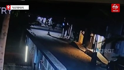 રાજકોટ: ધોરાજી તાલુકાના પાટણવાવ ગામે દીપડો દેખાયા હોવાના વીડિયો સામે આવ્યા, લોકોમાં ભયનો માહોલ