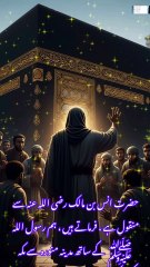 سفر میں نماز کا بیان سنن نسائی حدیث نمبر 1454 #قران #بیانات #islamicstoriesinurduandhindi