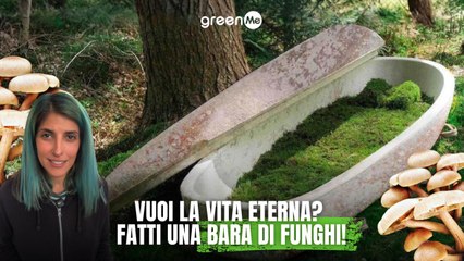 Vuoi la vita eterna? Fatti una bara di funghi!