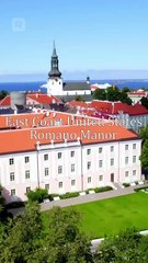 La sustituta del jefe de la mafia ES #ReelShort