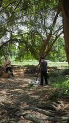 From Trouble to Triumph - When All Turns Around #Dramabox