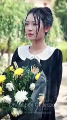 Our Forever, Laid To Rest Dramabox Full Movie