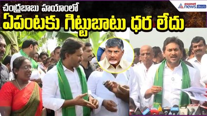 YS Jagan Serious Comments: చంద్రబాబు హయాంలో ఏపంటకు గిట్టుబాటు ధర లేదు | YCP | Asianet News Telugu