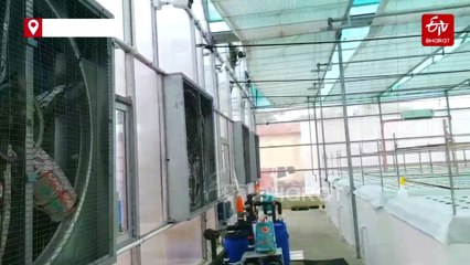 Indore’s Aeroponic Lab To Help Multiply Virus Free Potato Production In Malwa Nimar Region Of Madhya Pradesh