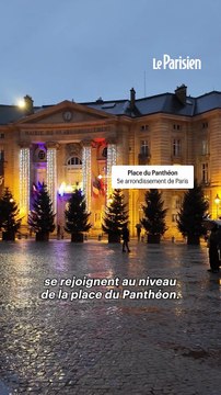 « La guerre des sapins » vire au clash avec la police