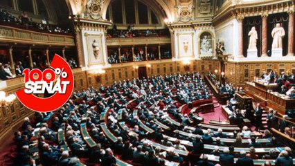 Le Sénat vote contre la suspension de la réforme des retraites