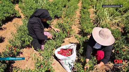 Kahramanmaraş'tan tüm Türkiye'ye yayılan umut hikayesi