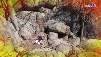 Nghiệp Sinh Tử Phần 5 Cuộc Chiến Hào Môn Tập 31 - Phim Truyền Hình Việt Nam THVL1 | Phim Hay