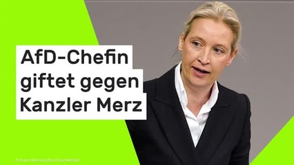 Alice Weidel: "Ihr Feixen wird sich der Wähler merken" - AfD-Chefin giftet gegen Kanzler Merz