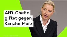 Alice Weidel: 