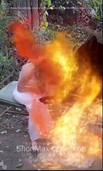 The Alpha Mate Who Cried Wolf (2025) - Full Movie