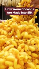 How Silk Is Made From Silkworm Cocoons #silk #silkworm #expensive #shorts