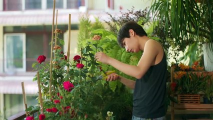 Burnout Syndrome Ep 1 Engsub