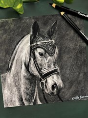 Dessin réaliste d'un cheval réalisé à la pierre noire