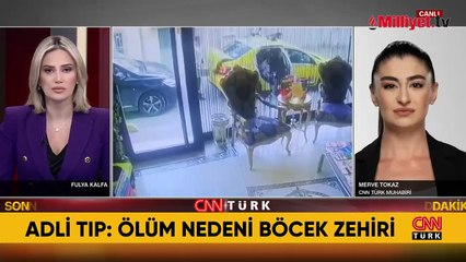 Otopsi raporu açıklandı! Böcek ailesinin ölüm nedeni belli oldu