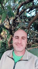 Jabs Or Right Hooks for Affiliate Marketing?