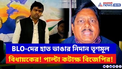 ‘ইচ্ছাকৃত নাম বাদ দিলে হাত ভেঙে দেব!’ BLO-দের উদ্দেশ্যে হুমকি তৃণমূলের এই বিধায়কের