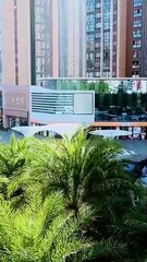 No Fate Stronger Than a Reborn Mom(DUBBED) Dramabox