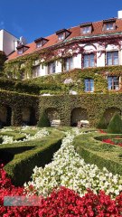 Islamic status Quran Urdu translation ⭐🌸