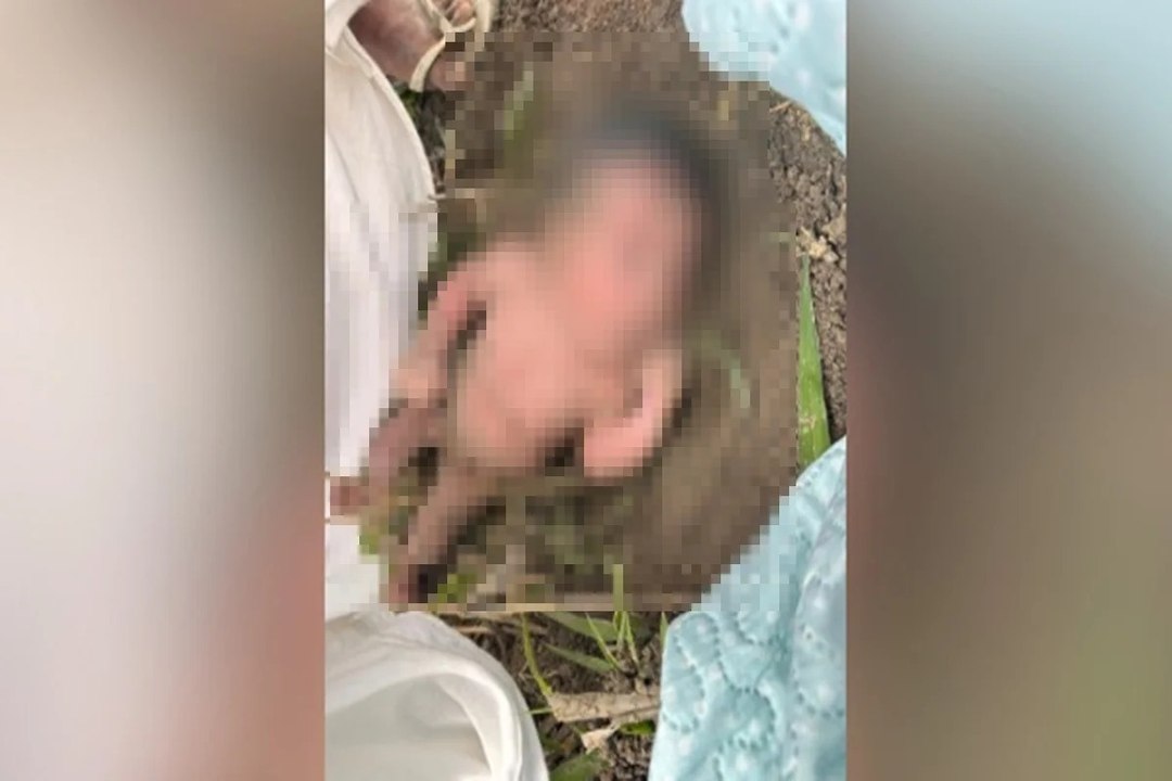 Recém-nascida é encontrada abandonada em formigueiro; veja vídeo