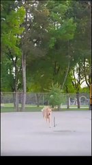 The Cure For A Broken Heart Full Movie _ Dramabox