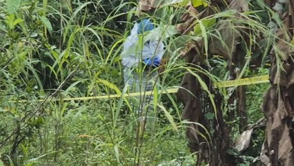 Encuentran cuerpo de un hombre en Finca Zapatero en Barú