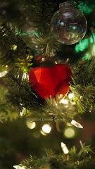 Ops I Married with My Forgetful Ex-Boyfriend Full Movie