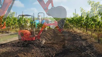 Mama Cat Trims Fur on the Farm and Makes Tiger Hat For Kittens At Home🐾🎩🐯 - TailRipple Media