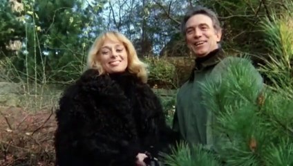 Julie Darling (1983)