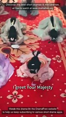 Accidentally Seducing the Emperor [Full]