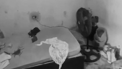 Madre adolescente permitía que su bebé de un año fuera sometida a abusos por su pareja: los vecinos lo grabaron