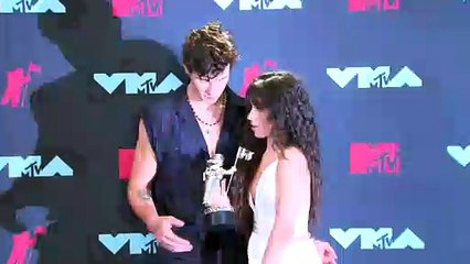 Shawn Mendes & Camila Cabello's Relationship Status Revealed After Miami Trip