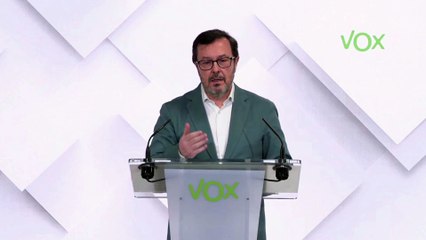 Vox decidirá si apoya a Pérez Llorca en Valencia una vez oiga su discurso de investidura