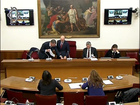 Roma - Riforma ordinamento forense - Audizione CNF, Cassa Forense, OCF, AIGA, ANF, MF e MGA (26.11.25)