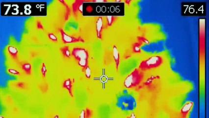 ISLA DEL TERROR - PELICULAS+ - PELICULA DE ACCION EN ESPANOL LATINO