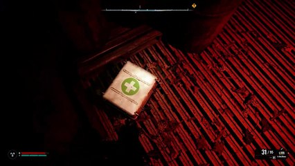 Stalker 2 Heart of Chornobyl (PS5 PRO) Immersive First Gameplay